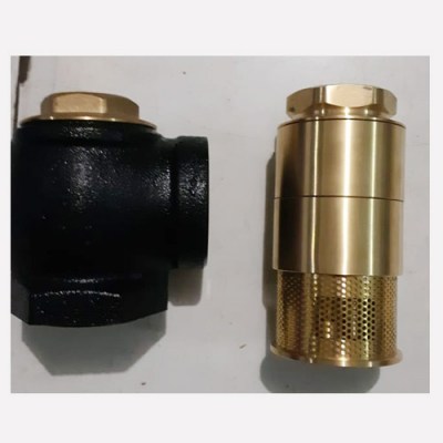 Foot-valve-2